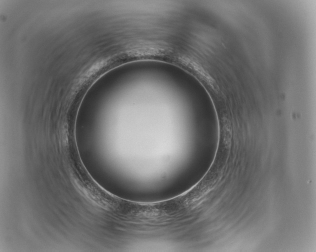 X0000073920631200608111223