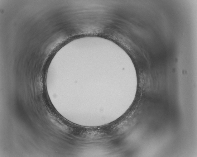 X0000073920632200608111223