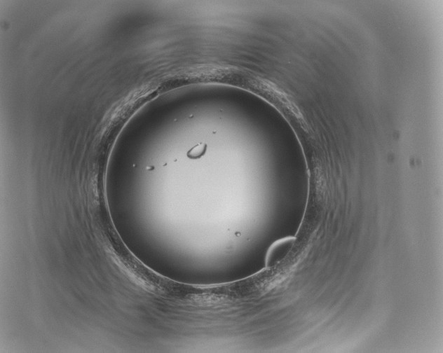 X0000073920633200608111223