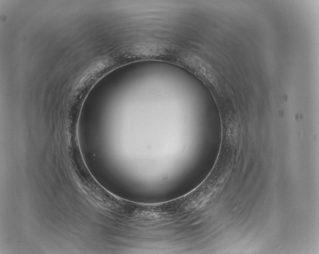 X0000073920635200608111223