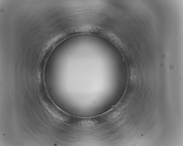 X0000073920636200608111223