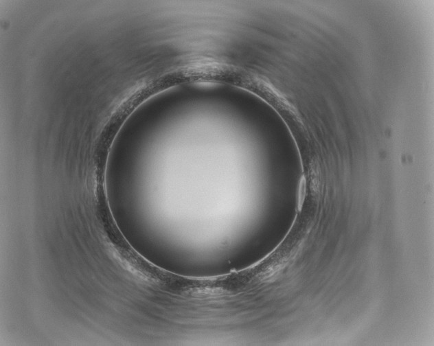 X0000073920637200608111223