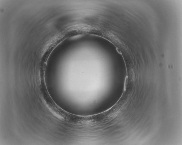 X0000073920638200608111223