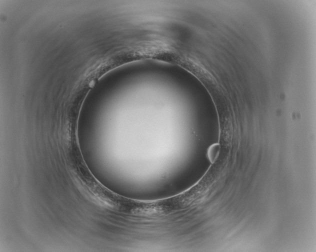 X0000073920639200608111223