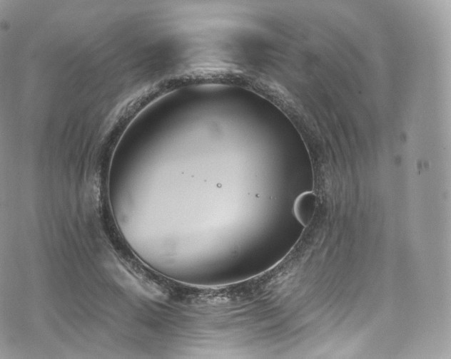 X0000073920640200608111223