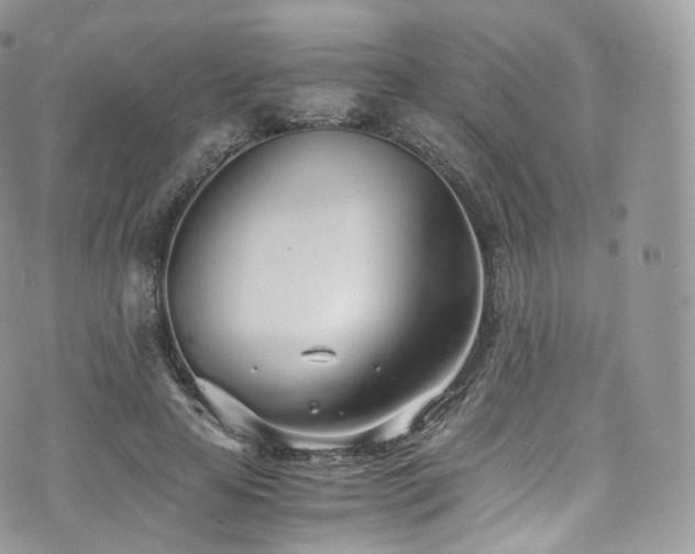 X0000073920641200608111223