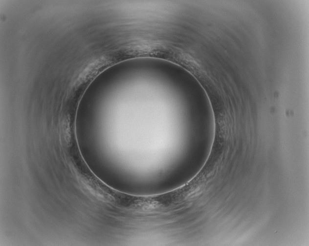 X0000073920642200608111223