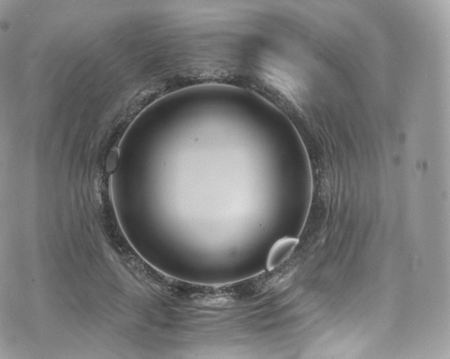 X0000073920643200608111223