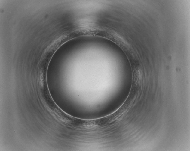 X0000073920644200608111223