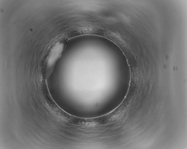 X0000073920645200608111223