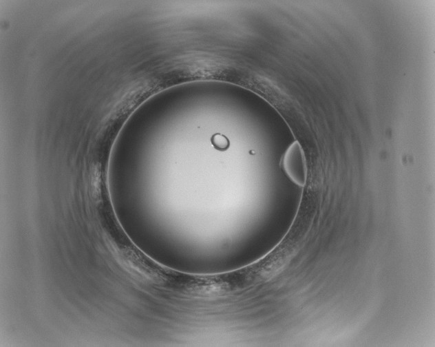 X0000073920646200608111223