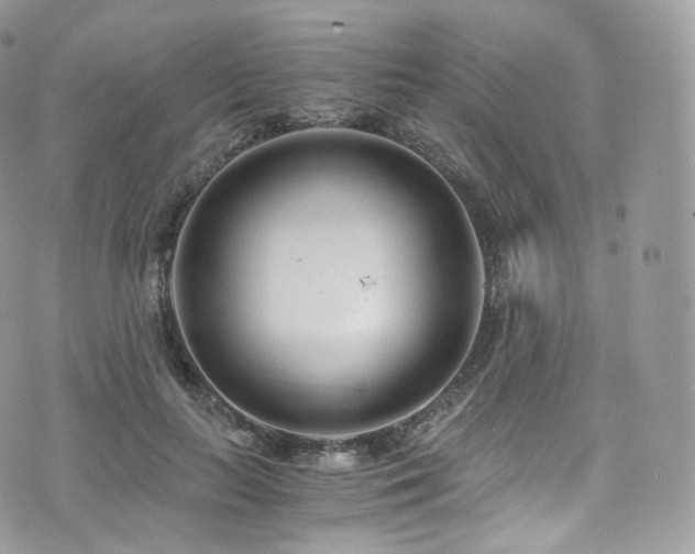 X0000073920647200608111223