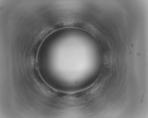 X0000073920648200608111223