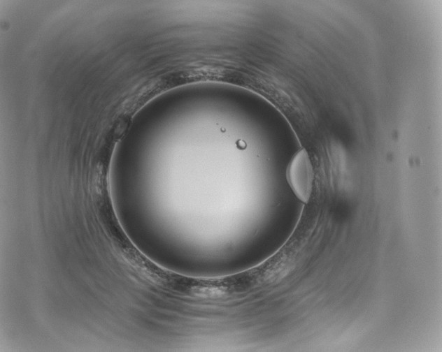 X0000073920649200608111223