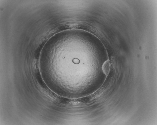 X0000073920650200608111223