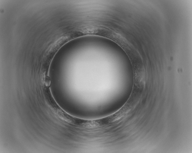 X0000073920652200608111224