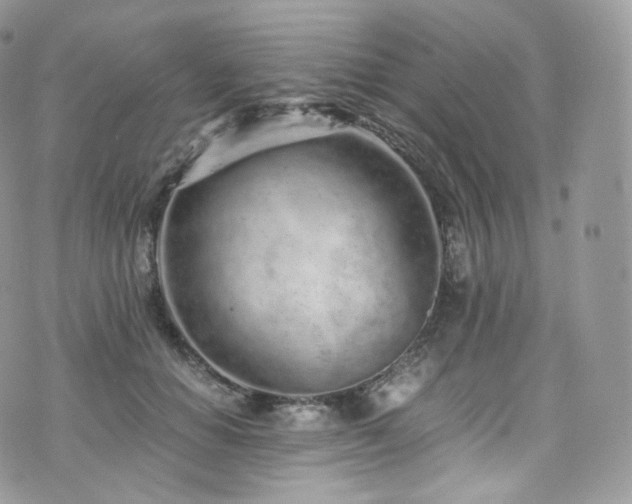 X0000073920654200608111224