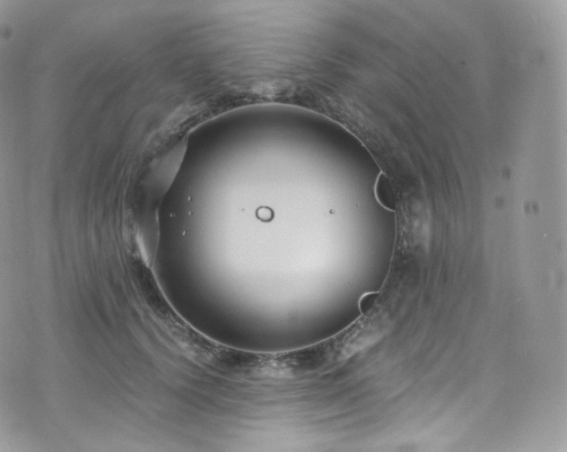 X0000073920656200608111224