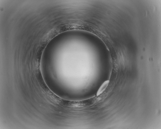 X0000073920657200608111224