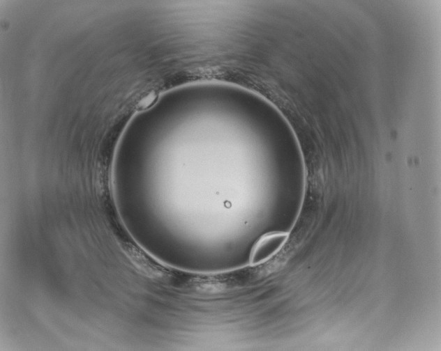 X0000073920658200608111224