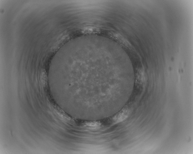 X0000073920659200608111224