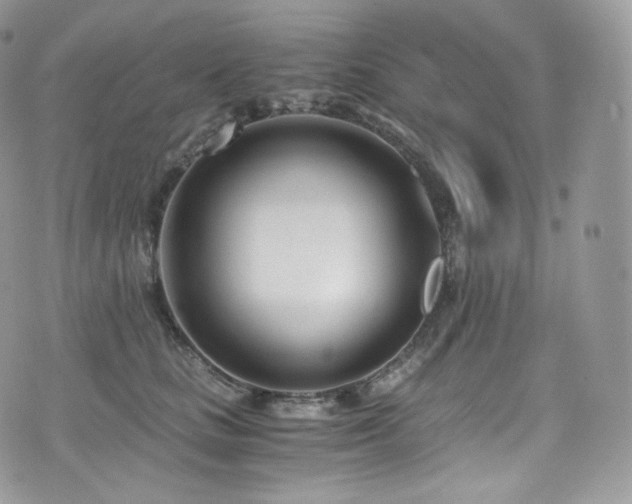 X0000073920661200608111224