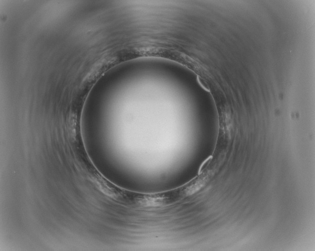 X0000073920664200608111224