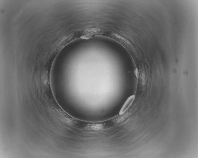 X0000073920665200608111224