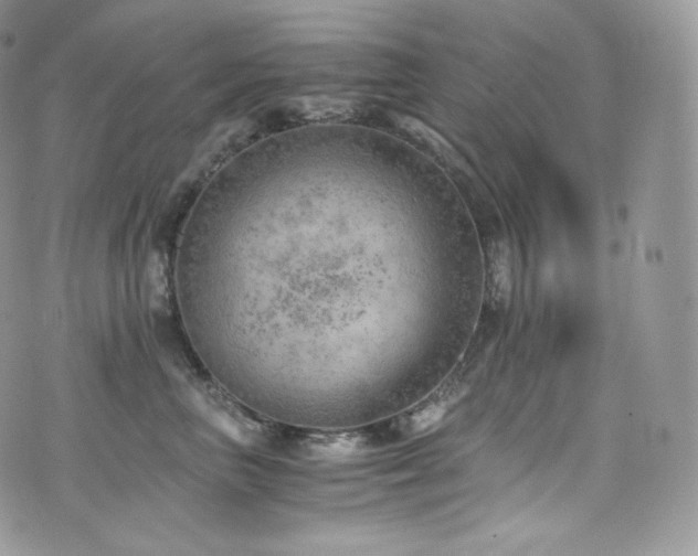 X0000073920667200608111224