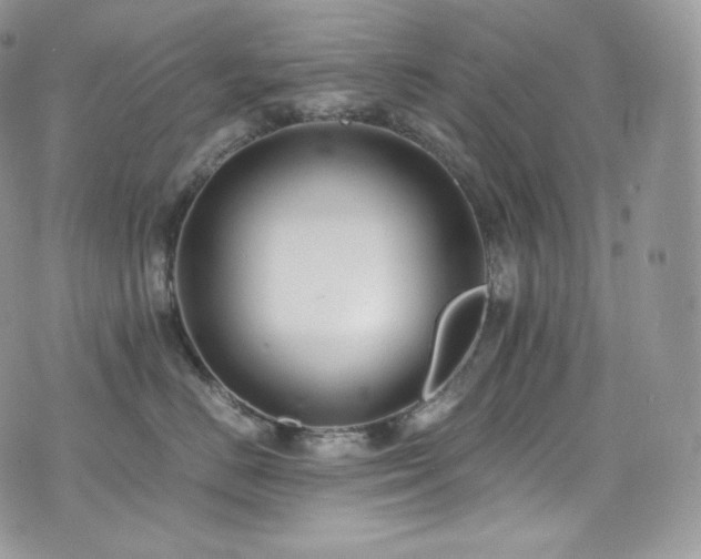 X0000073920670200608111224