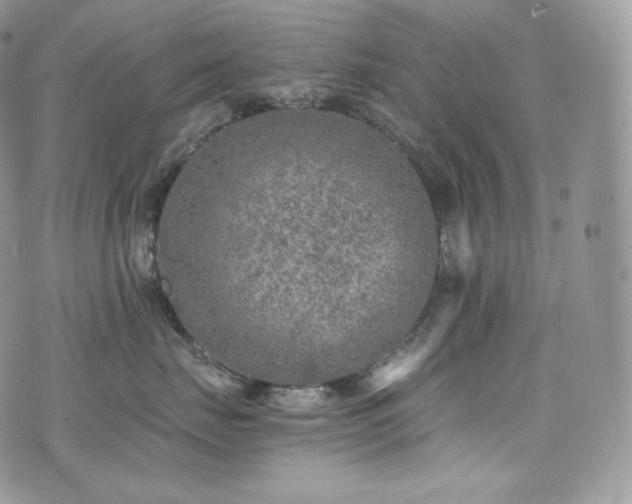 X0000073920671200608111224