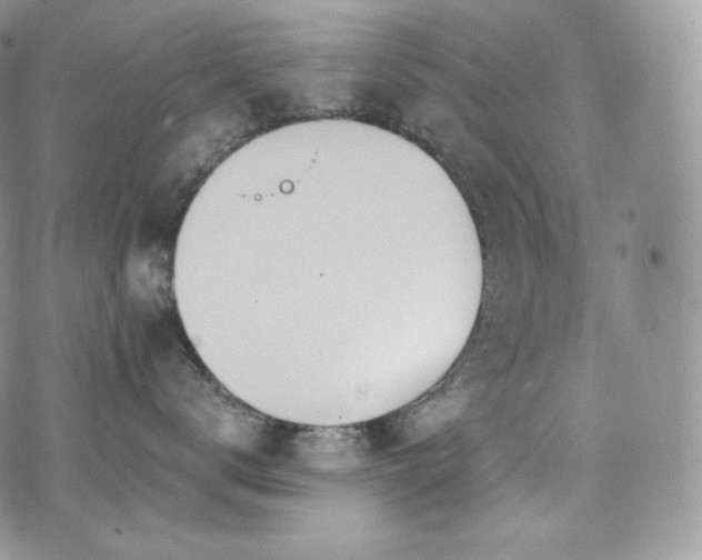 X0000073920672200608111224