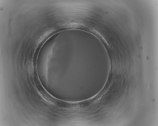 X0000073920674200608111223