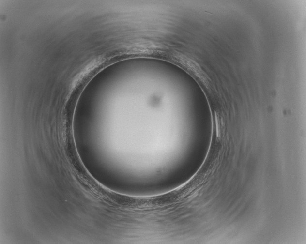 X0000073920675200608111223