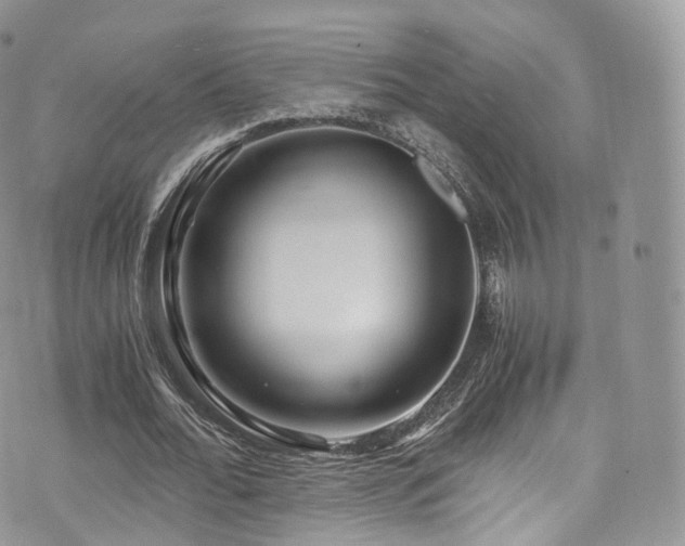 X0000073920676200608111223