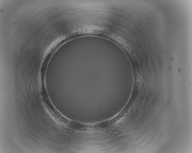 X0000073920678200608111223