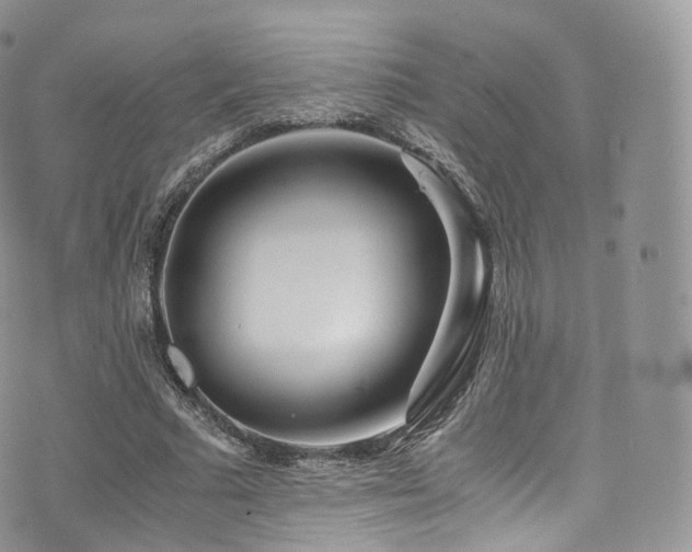 X0000073920681200608111223