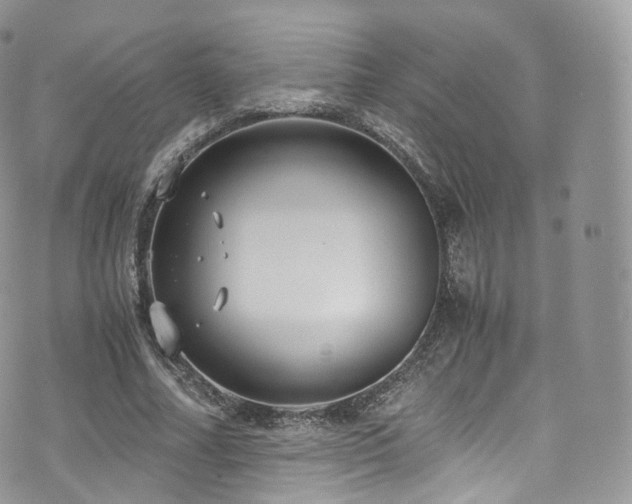 X0000073920682200608111223