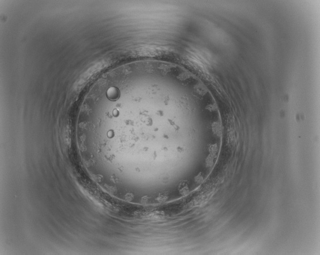 X0000073920683200608111223