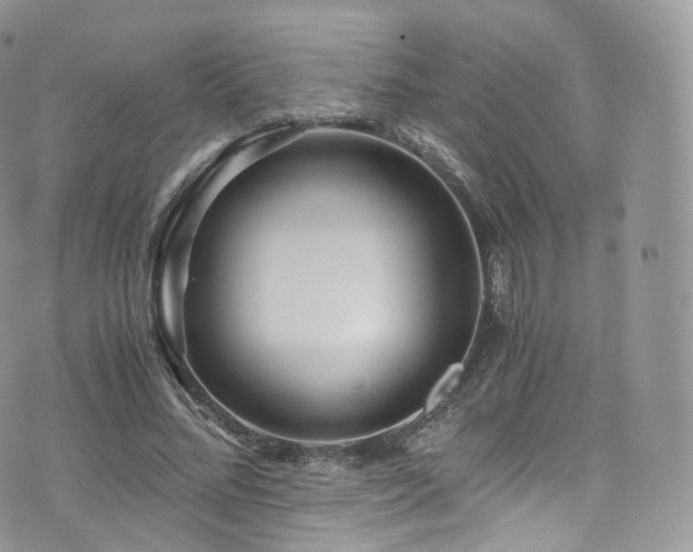 X0000073920684200608111223