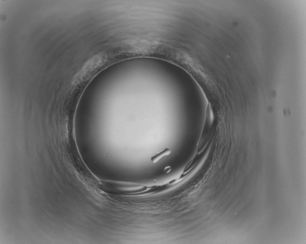 X0000073920685200608111223