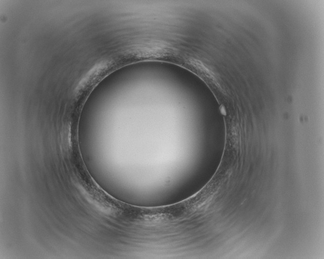 X0000073920686200608111223