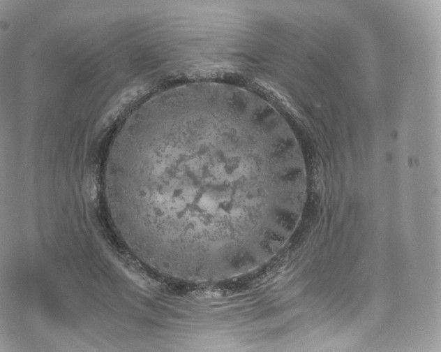 X0000073920687200608111223