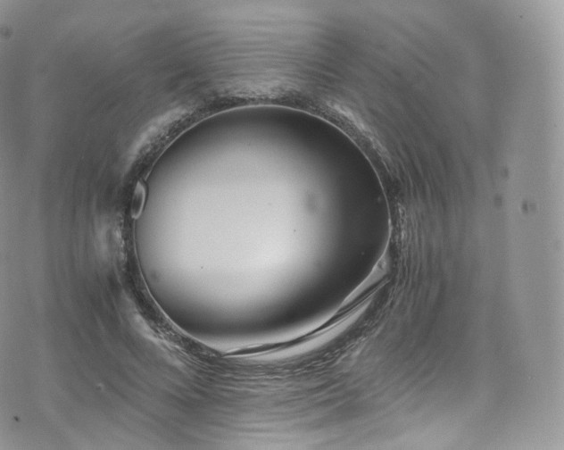 X0000073920688200608111223