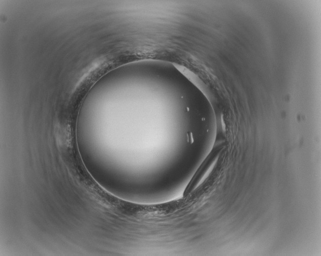 X0000073920689200608111223