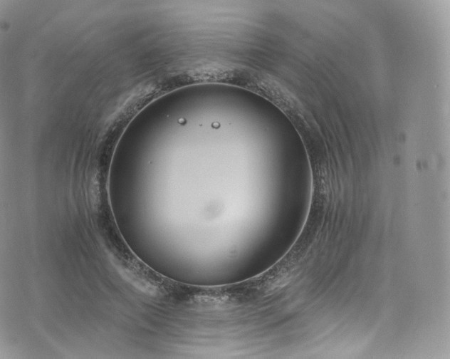 X0000073920690200608111223