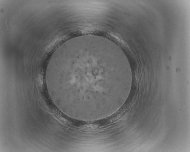 X0000073920691200608111223