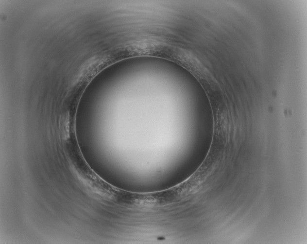 X0000073920694200608111223