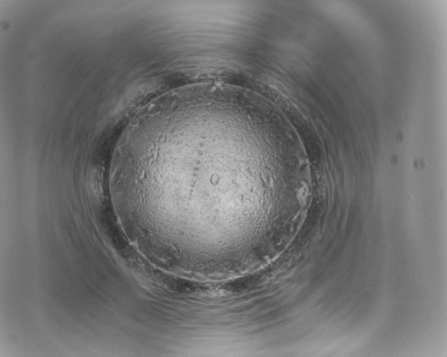 X0000073920695200608111223