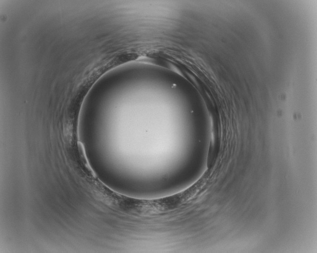 X0000073920697200608111223